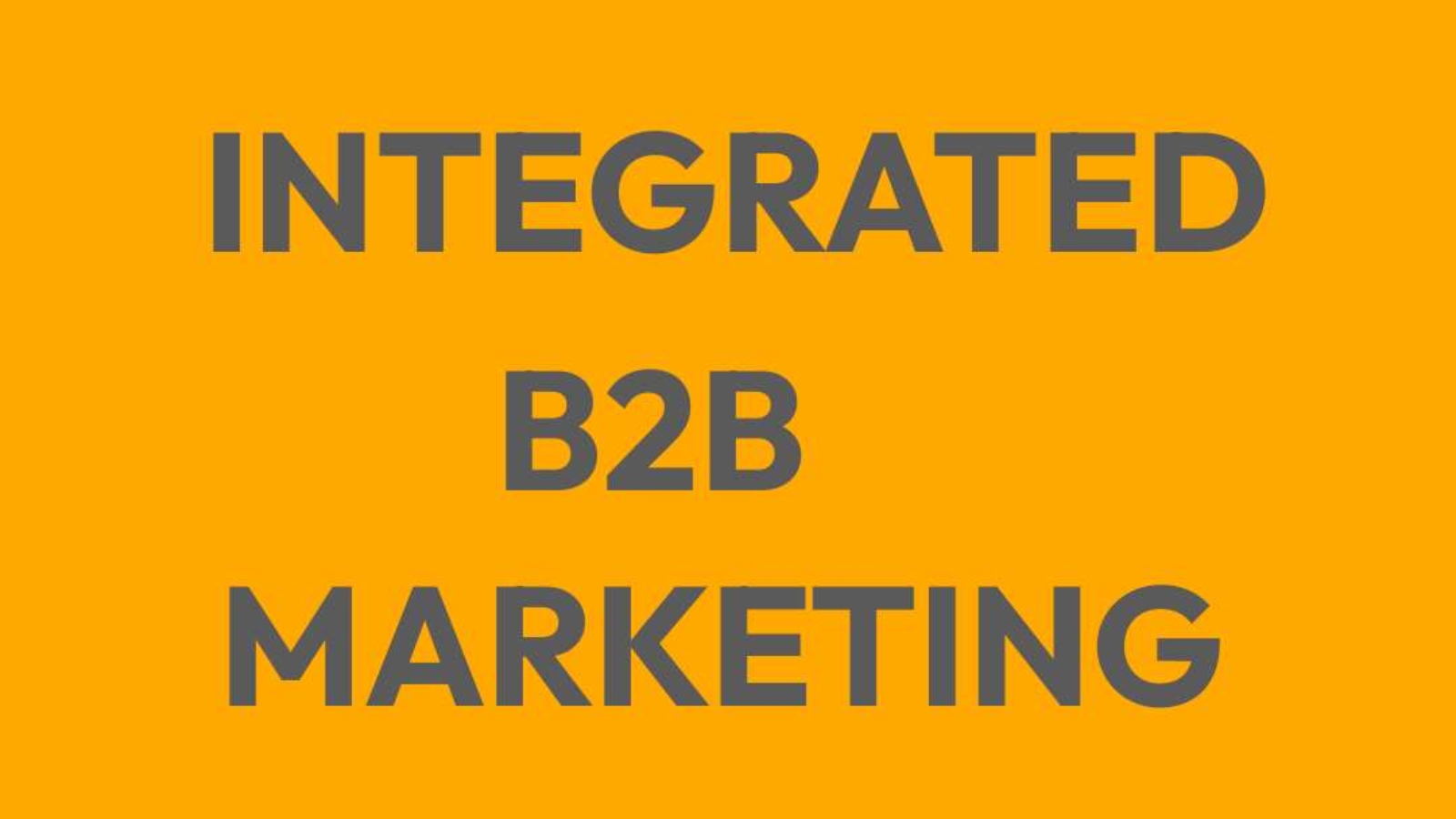 Integrated B2B Marketing 8 Steps to Drive Results through Strategic Campaigns