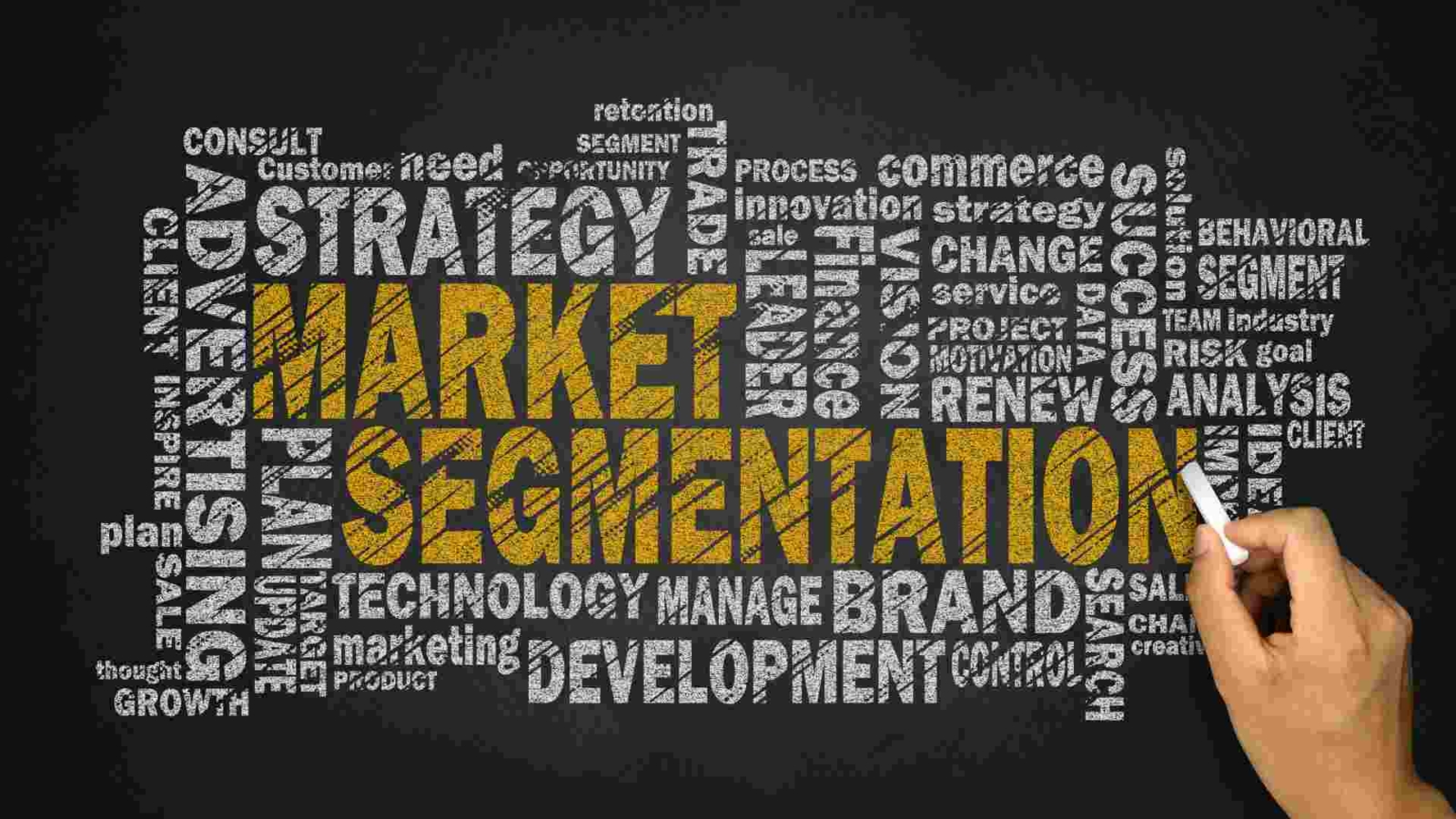 Market Segmentation Techniques