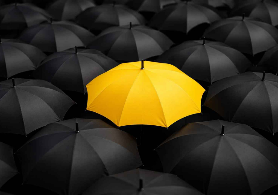 How to Differentiate a Product in a Crowded Market